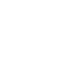 Data-Driven Insights Data-Driven Insights