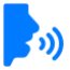 Voice Assistant