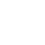 Business-Owned Fleet Model