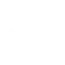 Robotaxi Model